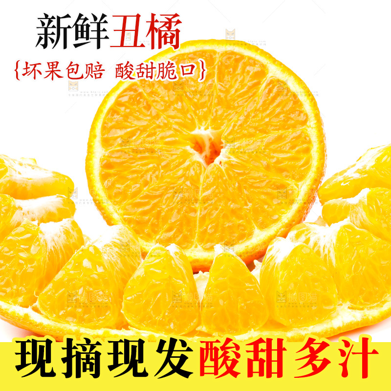 白底上的丑柑