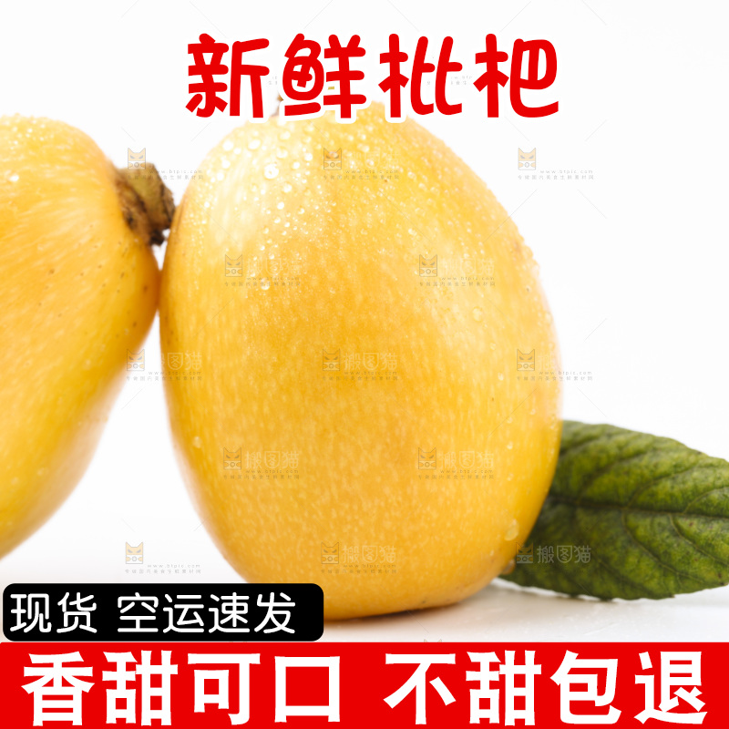 白底上放着枇杷