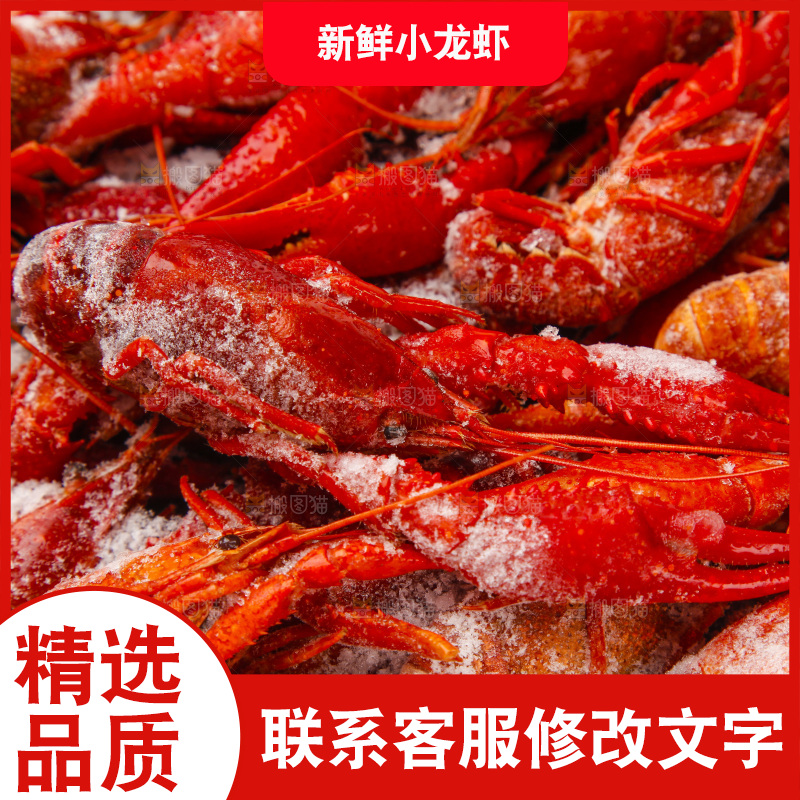 白底上的小龙虾