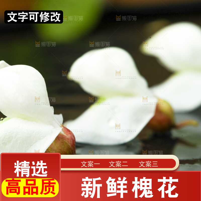 黑底上摆放着洋槐花