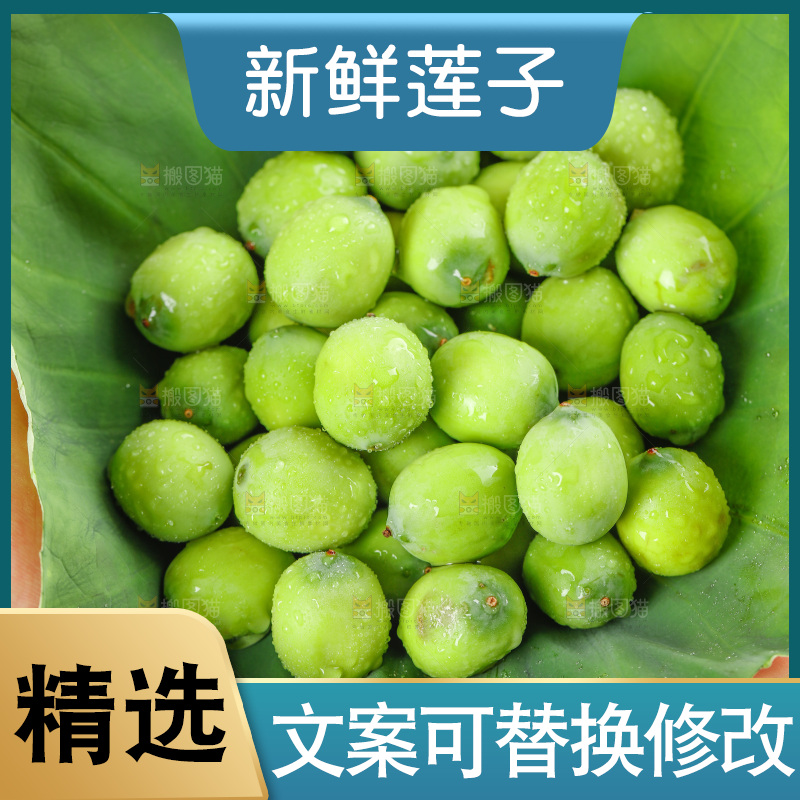 荷叶上放着新鲜莲子