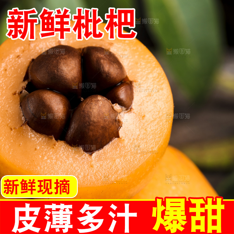 深底上的攀枝花枇杷