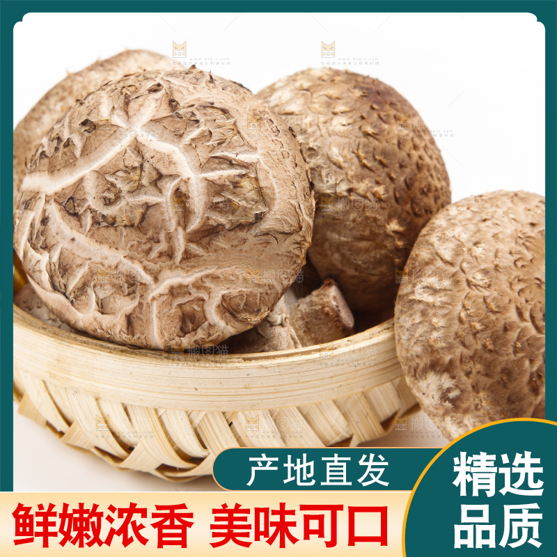 篮子里装着香菇