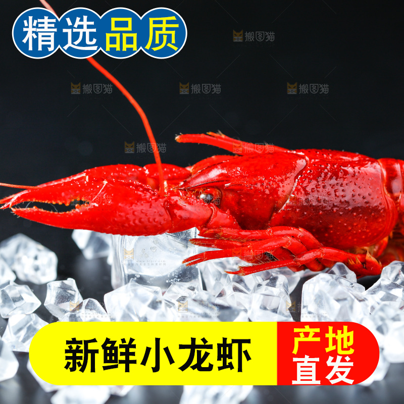 黑底上摆放着秘制小龙虾