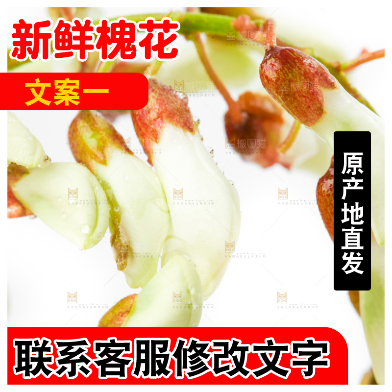 白底上摆放着洋槐花