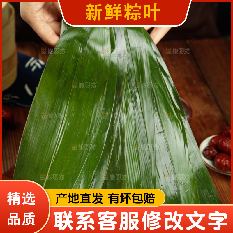手里拿着天然粽子叶