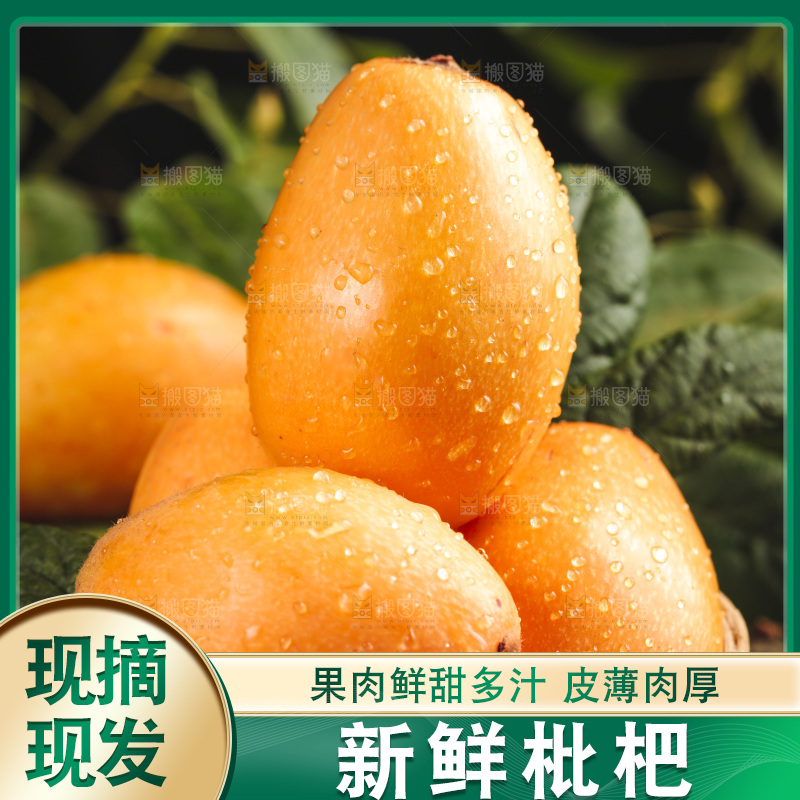 篮子里装着新鲜枇杷