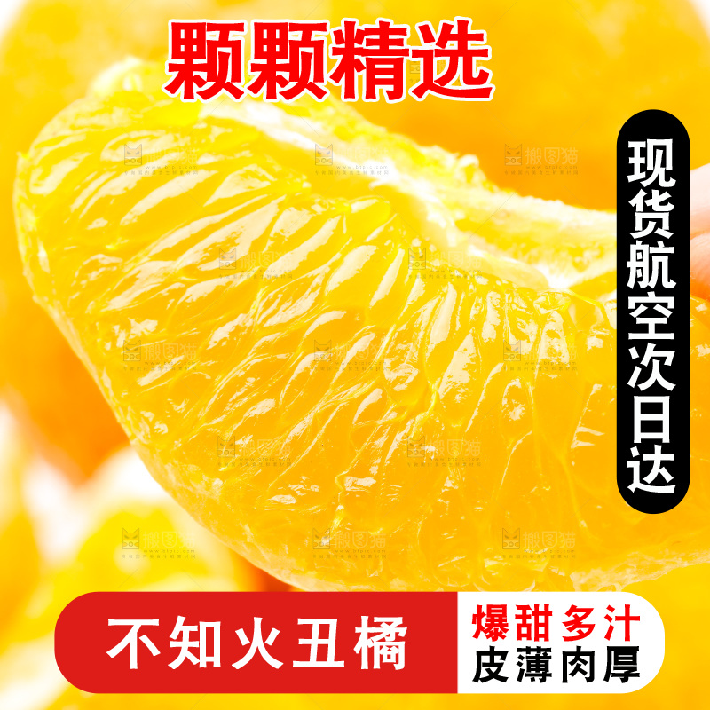 白底上的丑柑