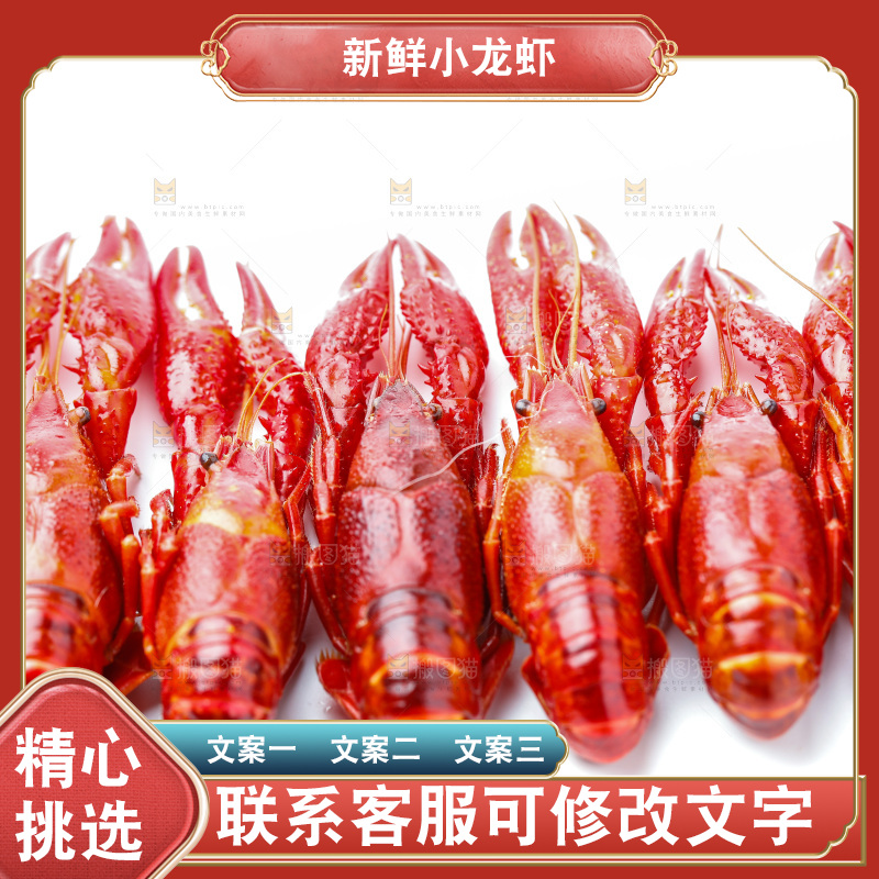 白底上的小龙虾