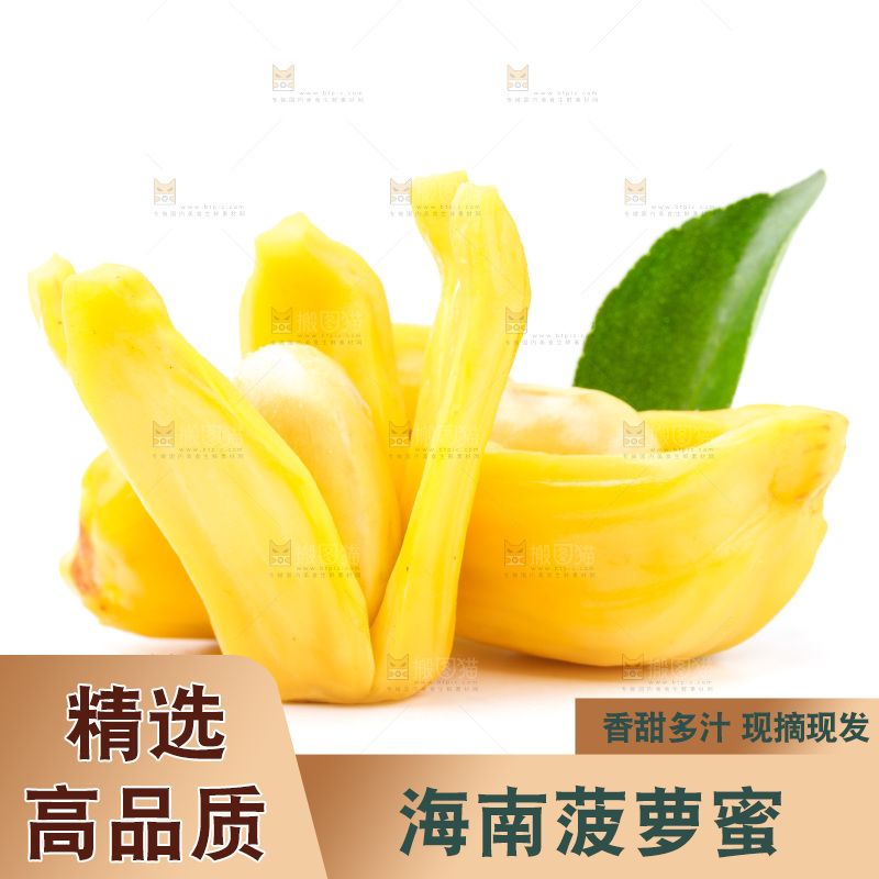 浅底上的海南菠萝蜜