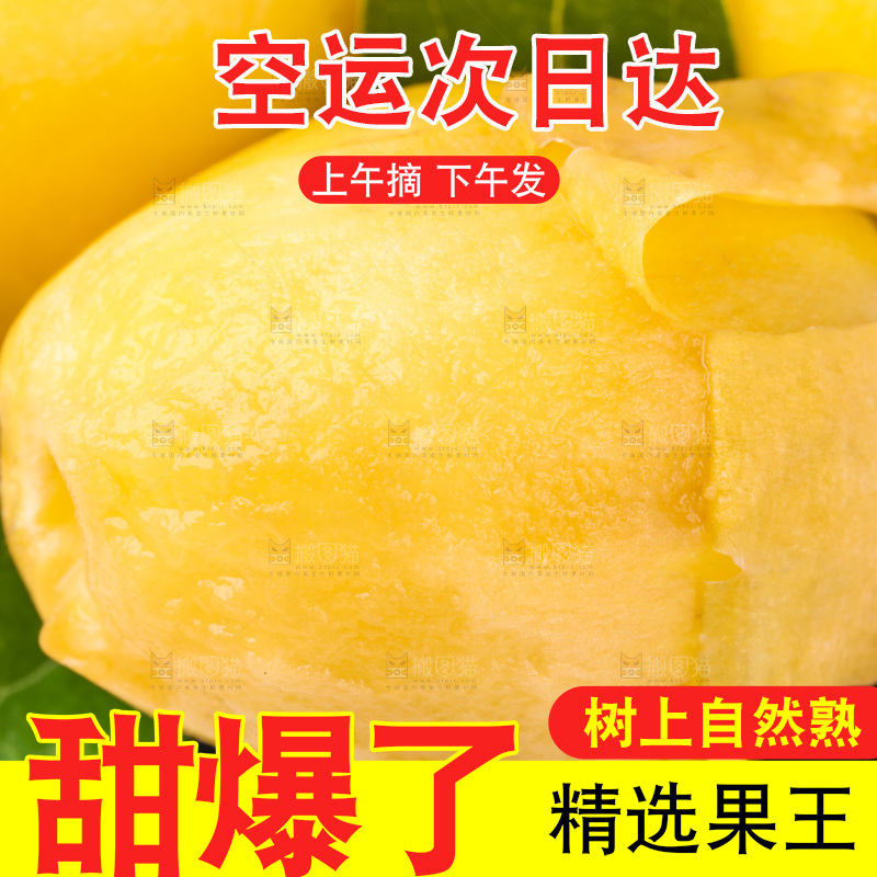 白底上放着新鲜枇杷