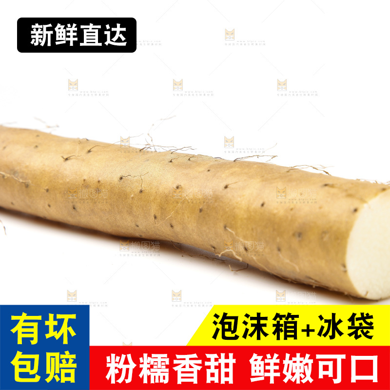 浅底上的新鲜山药