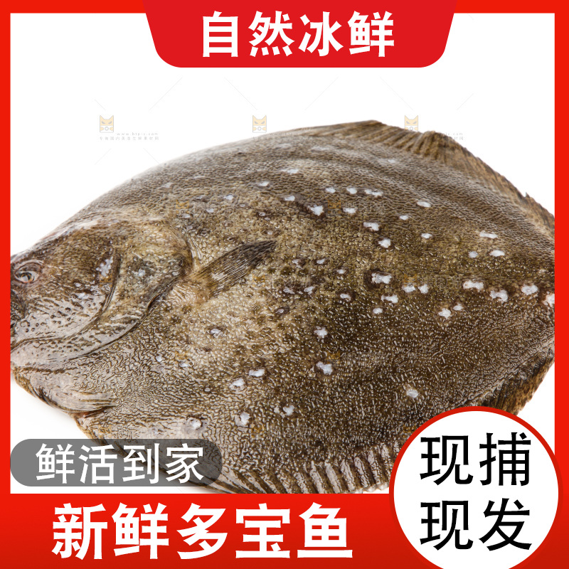 盘子里装着多宝鱼