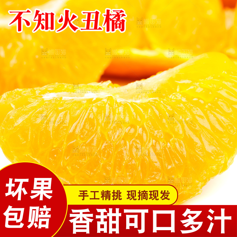 白底上的丑柑