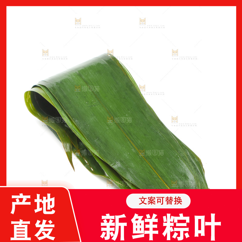 白底上的天然粽叶