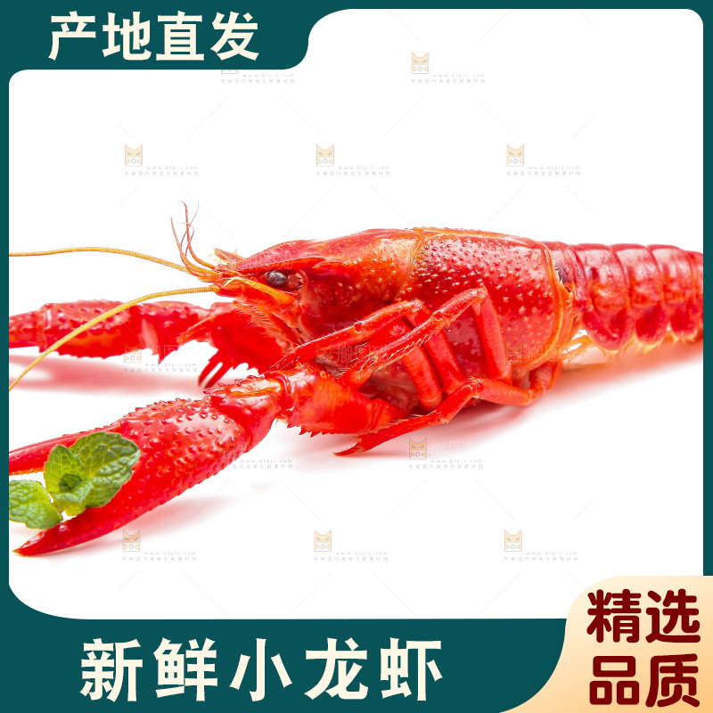 白底上放着清蒸小龙虾