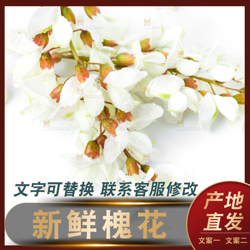 白底上摆放着洋槐花