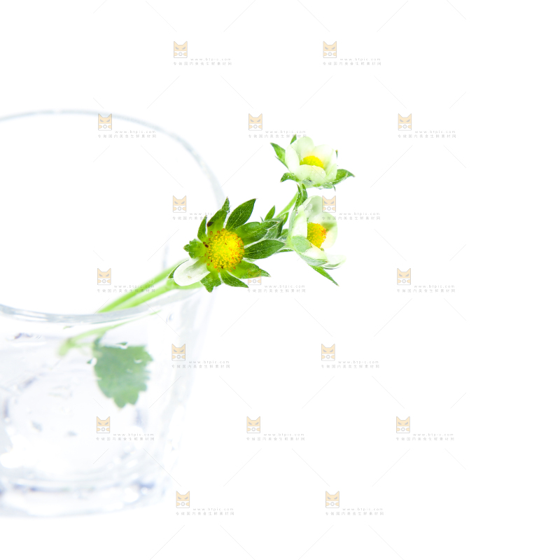 白底上的草莓花