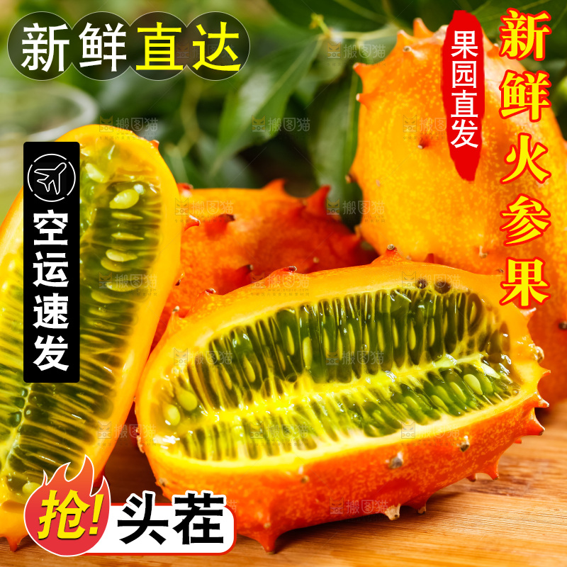 木底上摆放着海参果