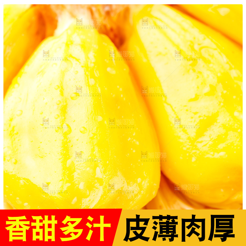 白底上的海南菠萝蜜