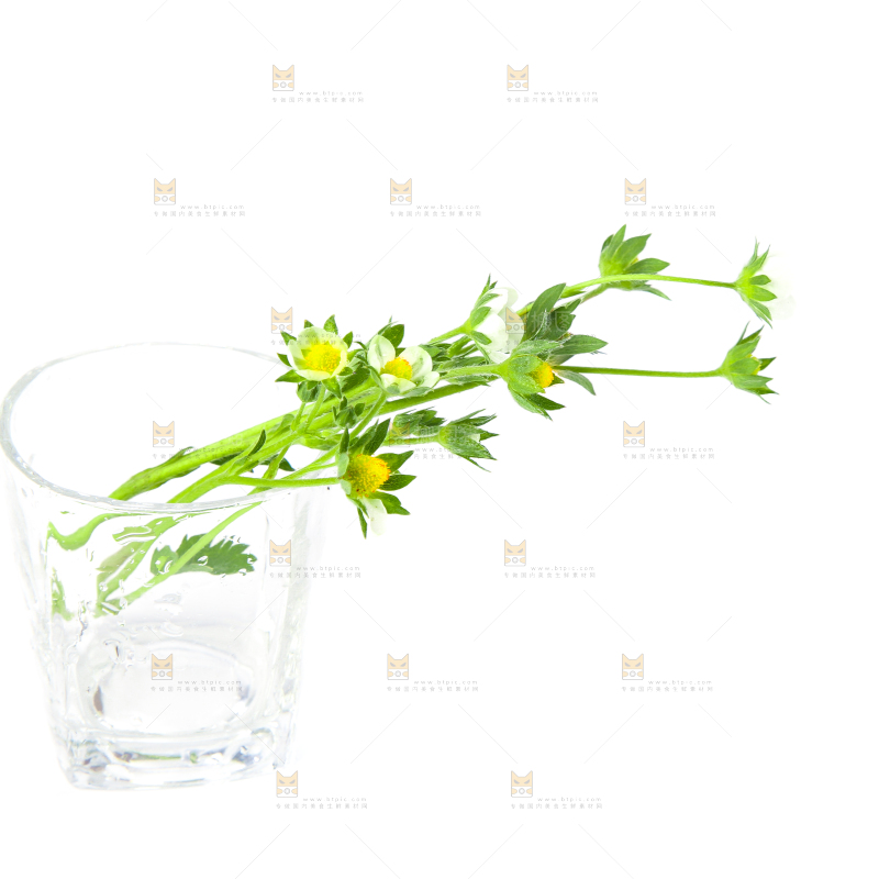 白底上的草莓花