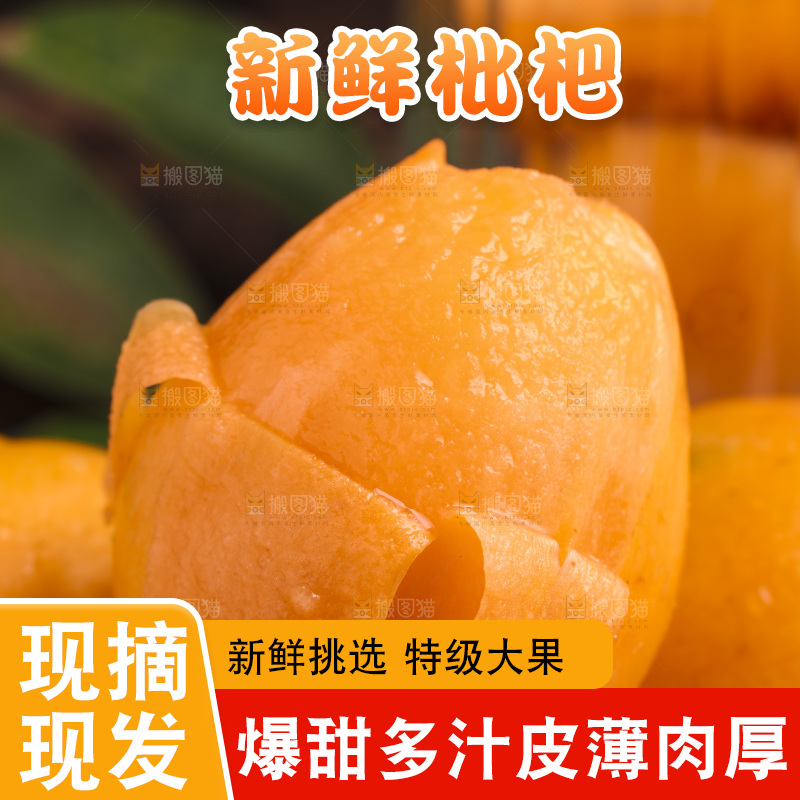 深底上的攀枝花枇杷