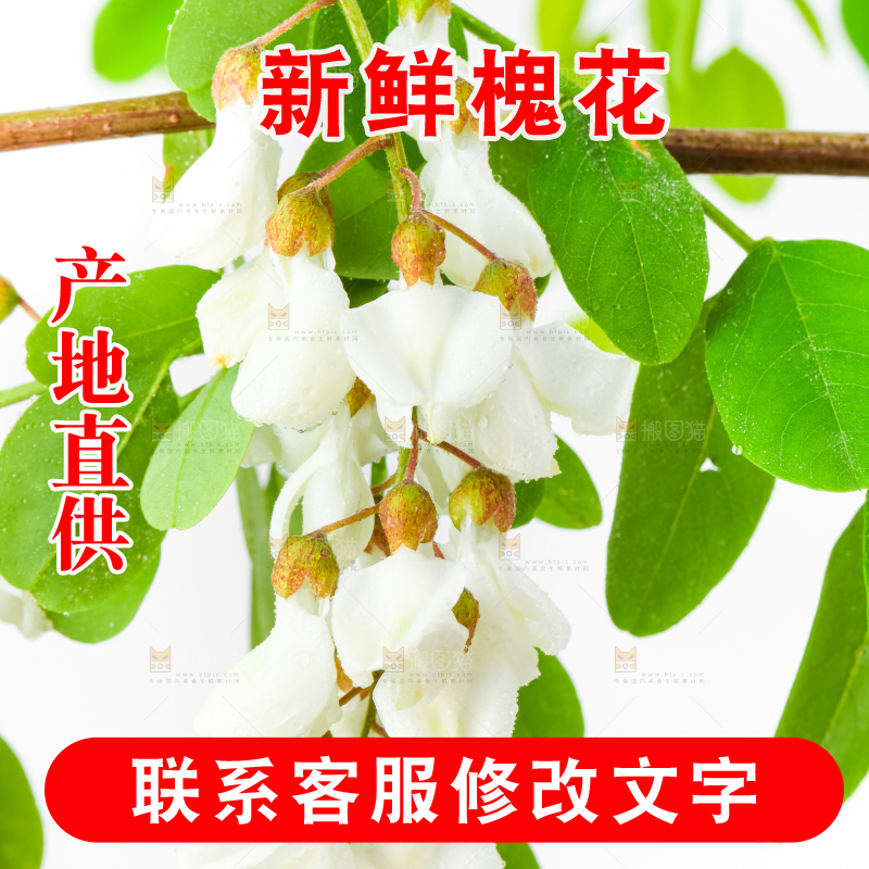 白底上放着槐花