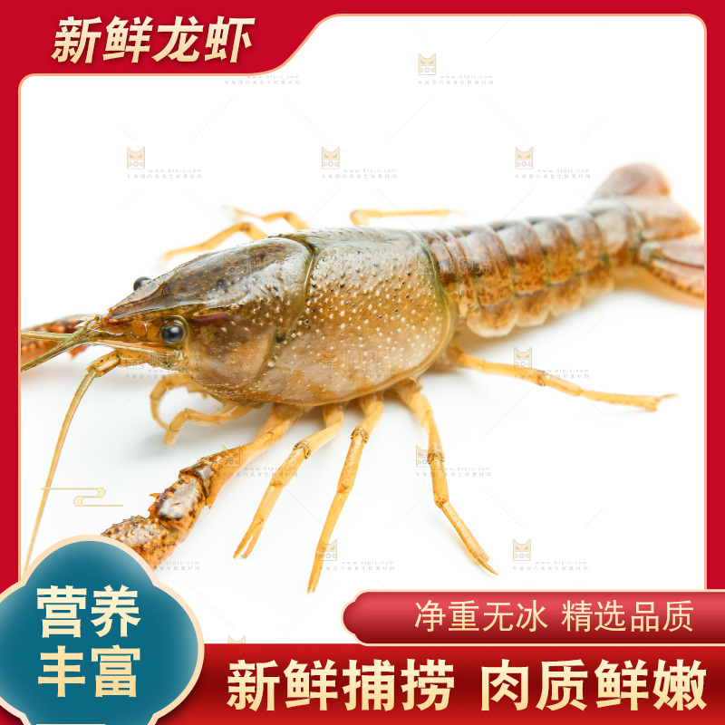 白底上放着小龙虾