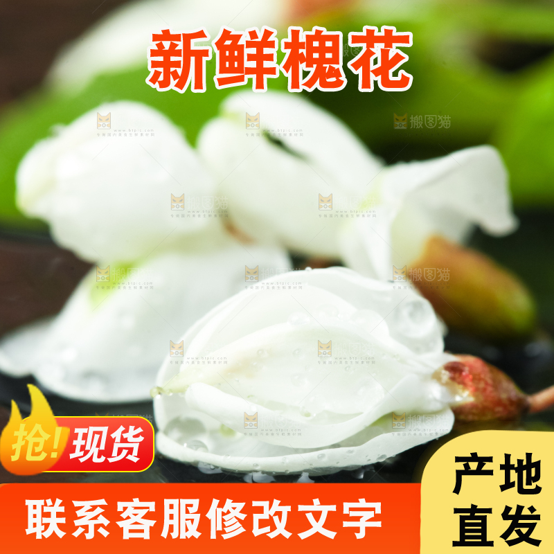 黑底上摆放着刺槐树花