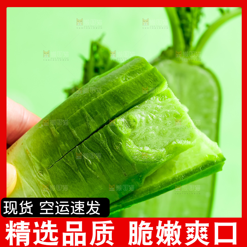 手上拿着绿萝卜