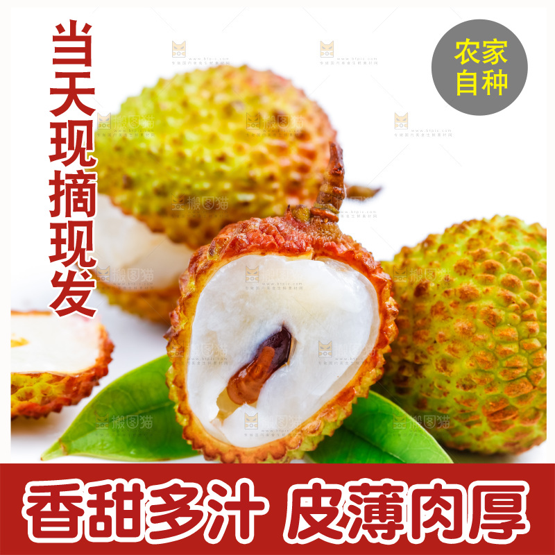 白底上放着海南妃子笑