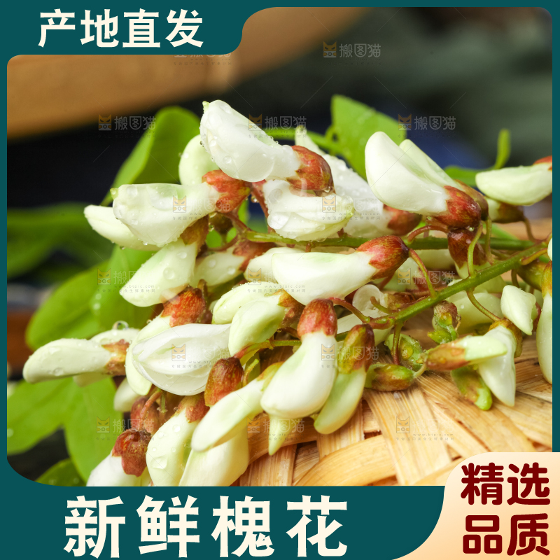 竹篮上放着新鲜槐花
