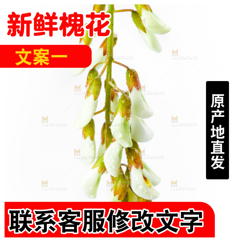白底上放着槐花