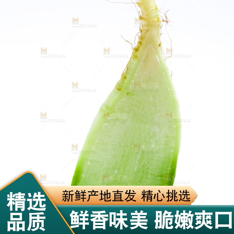 白底上放着斜切的绿萝卜