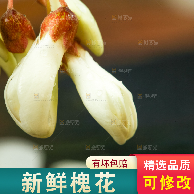 深底上摆放着野生洋槐花