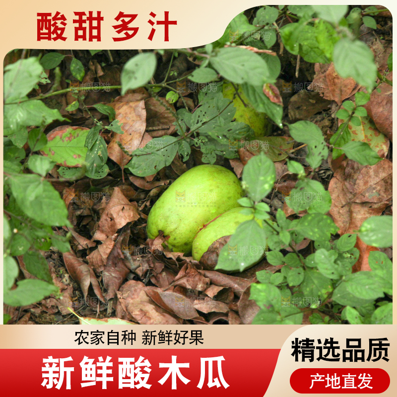 地上落着酸木瓜