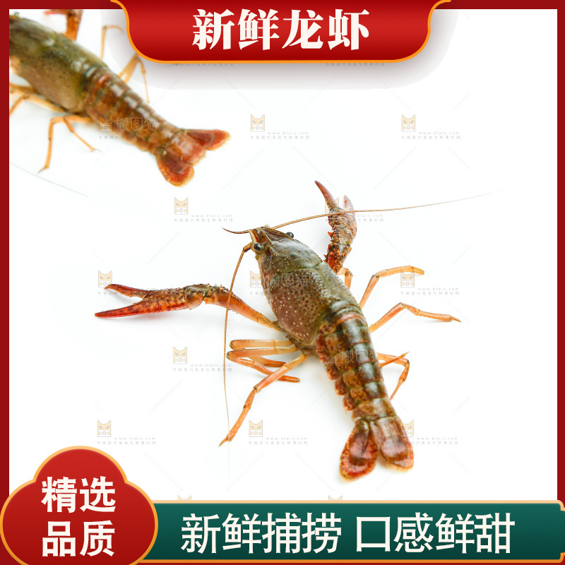白底上放着小龙虾