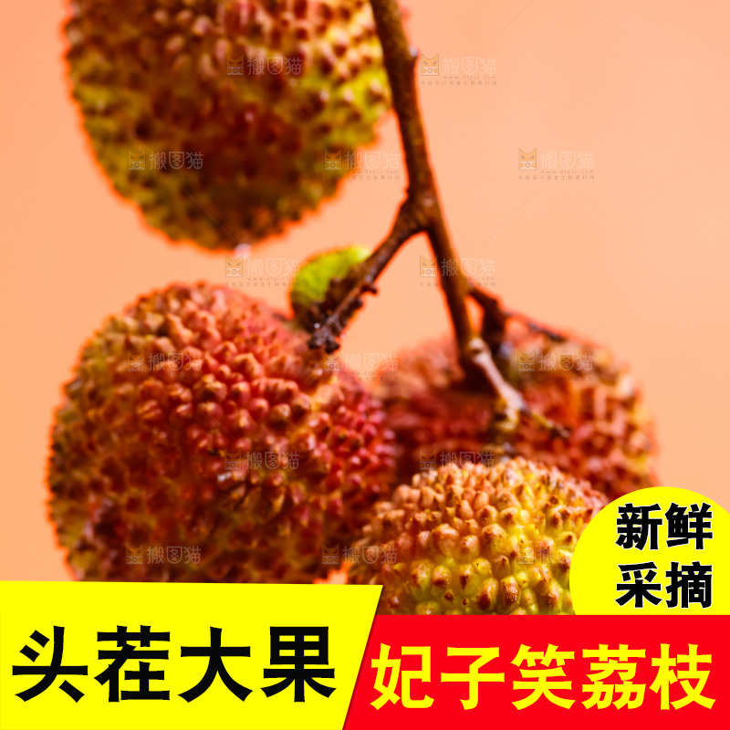 一串海南妃子笑