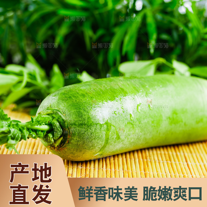 竹底上放着青萝卜