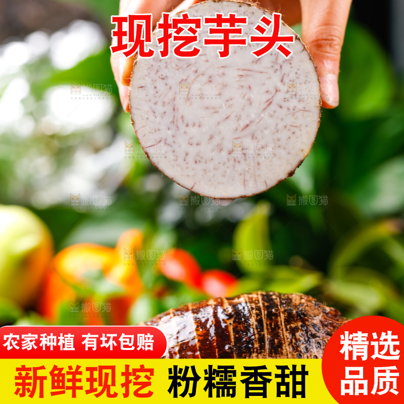 手上拿着槟榔芋切片