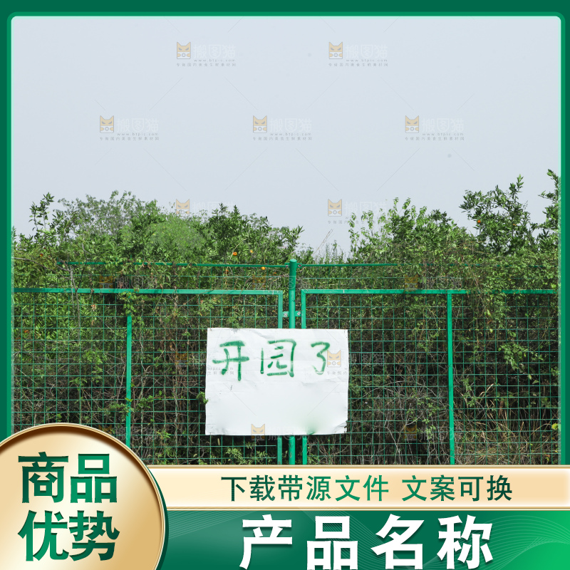橘子种植基地