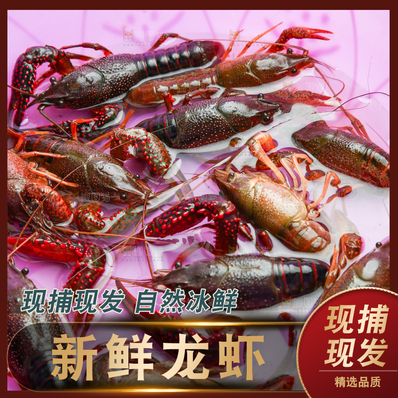 桶里装着小龙虾