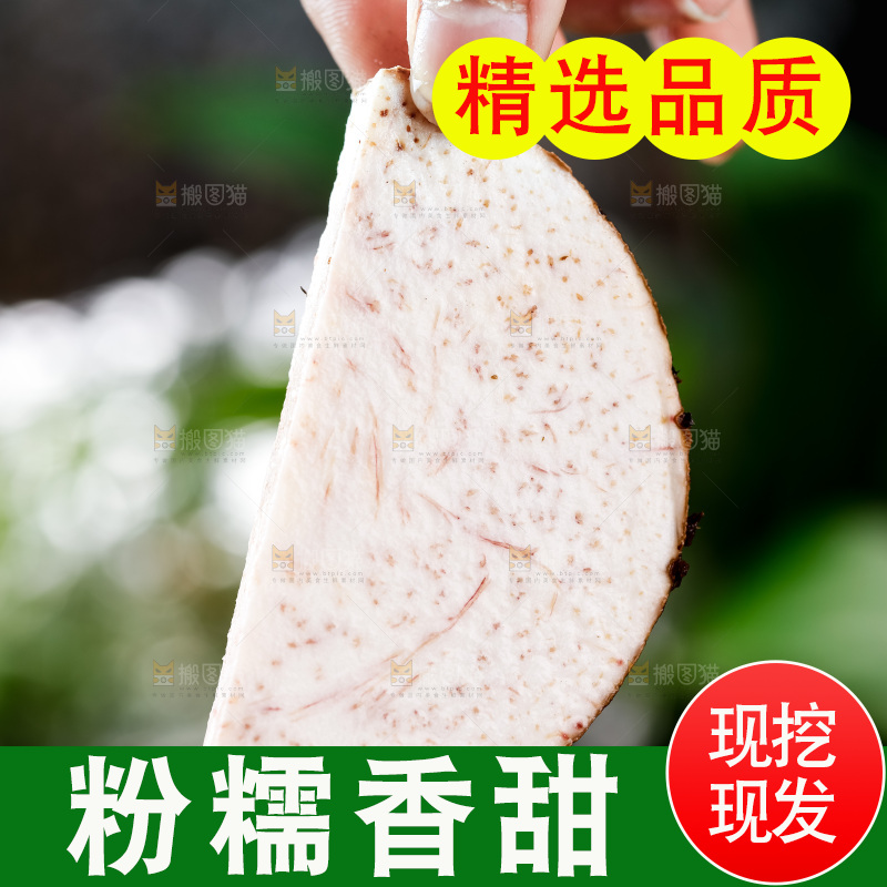 手上拿着槟榔芋切片