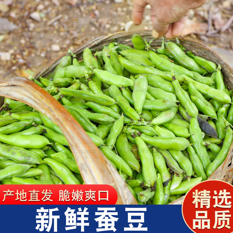 篮子里装着蚕豆