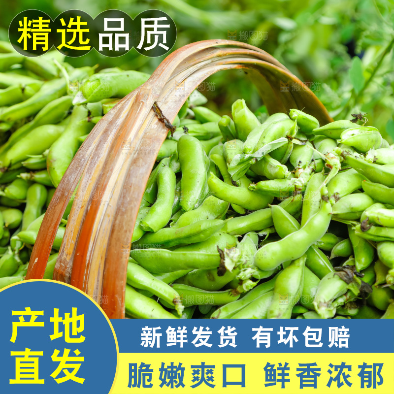 篮子里装着蚕豆