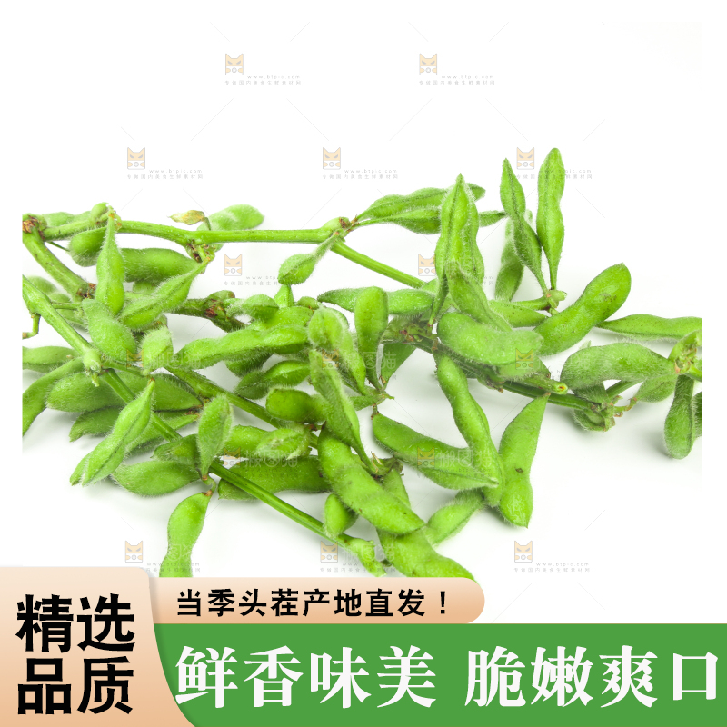白底上的毛豆