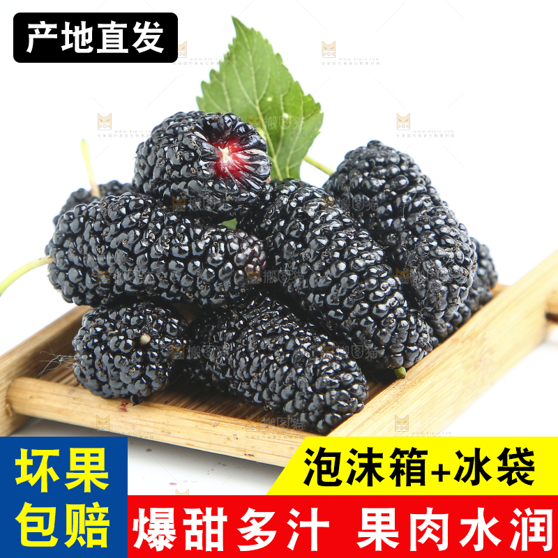 白底上放着一堆桑葚