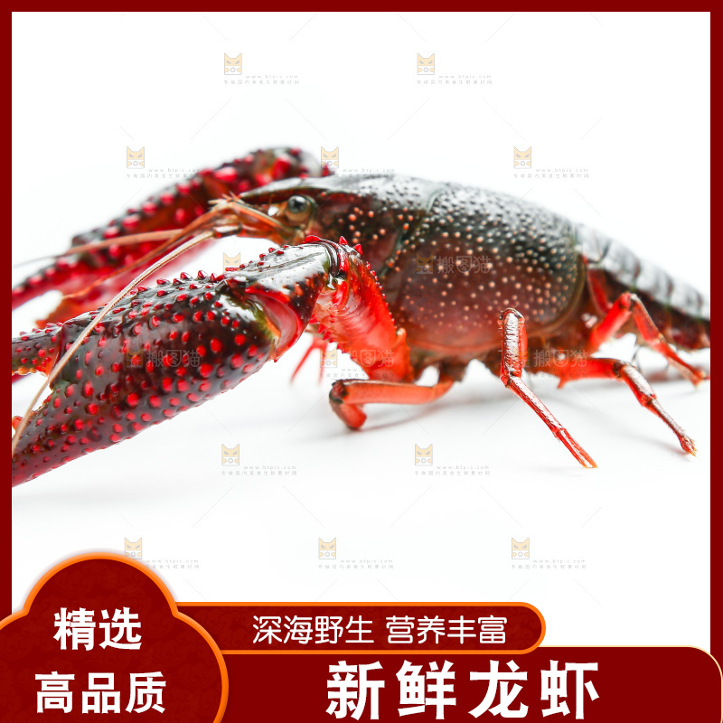 白底上放着小龙虾