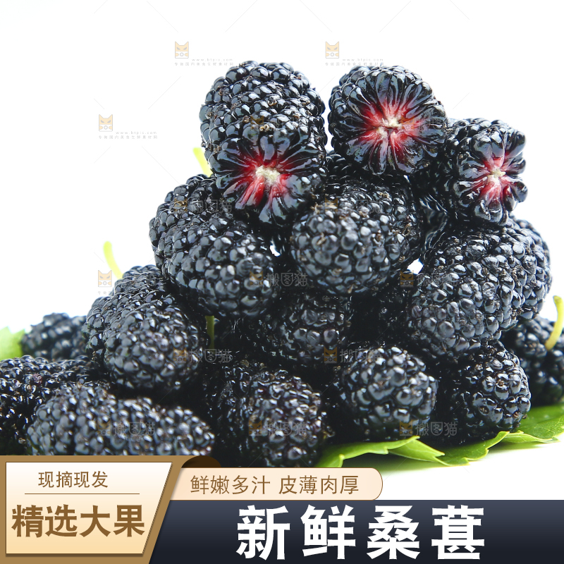 白底上的绿叶上放着一堆桑葚
