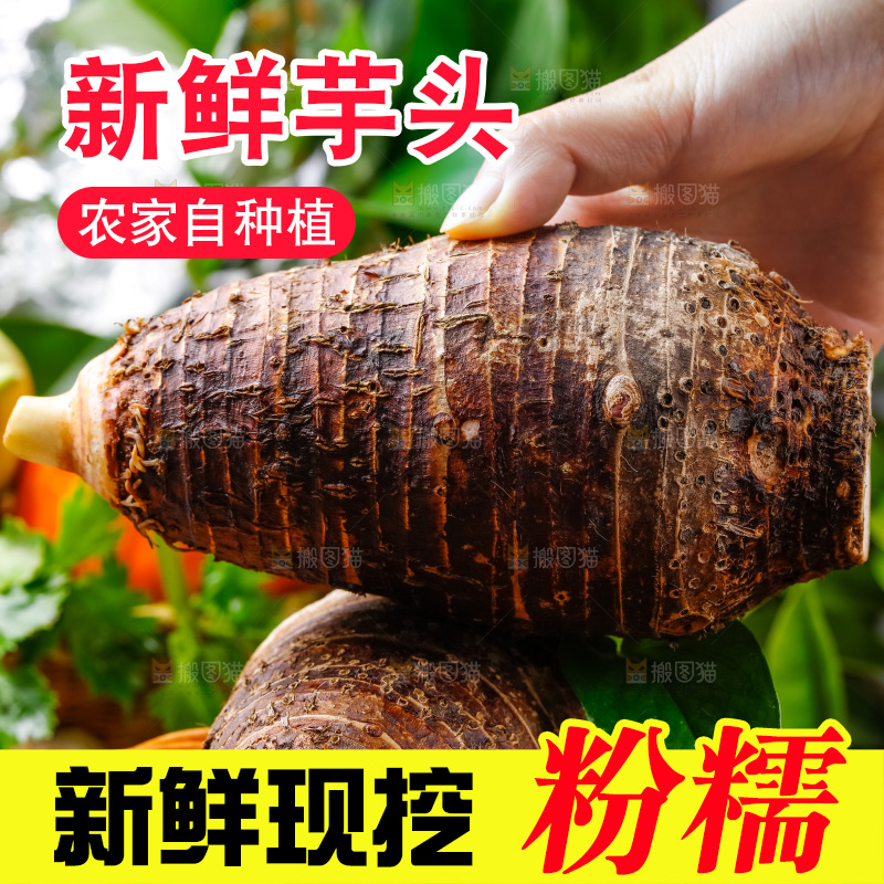 手上拿着槟榔芋
